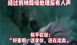 沧州生活爆料事件视频播放,视频揭示惊人真相，网友热议不断！