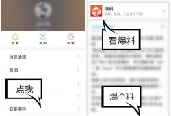 爆料视频顶置怎么看,揭秘幕后操作与热门话题背后的真相