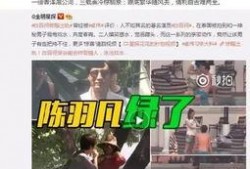 内乡一高爆料事件视频播放,真相究竟如何？