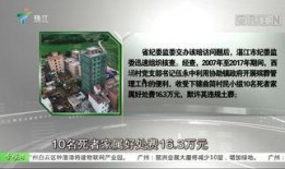 广东台今日爆料入口,揭秘今日热门事件背后真相