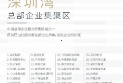 深圳爆料大事件视频回放,揭秘背后真相，视频回放揭示惊人内幕