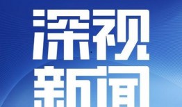 深圳李先生最近爆料新闻,最新爆料事件深度解析