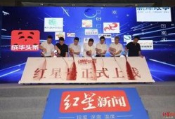 红星新闻爆料费多少钱一次,揭秘一次爆料费用内幕