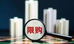 广东交通新闻投稿爆料有用吗,投稿爆料，助力交通安全畅通