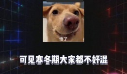 娱乐乐圈吃瓜是真的吗,吃瓜背后的真实故事