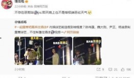 明星爆料酒店视频播放,明星爆料视频引发热议