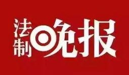 新闻爆料 法规,法规变动引发行业热议，最新解读与影响全解析